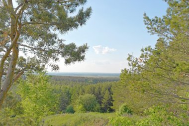 Güzel yaz manzarası