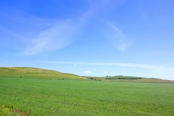 Linda paisagem de verão — Fotografia de Stock