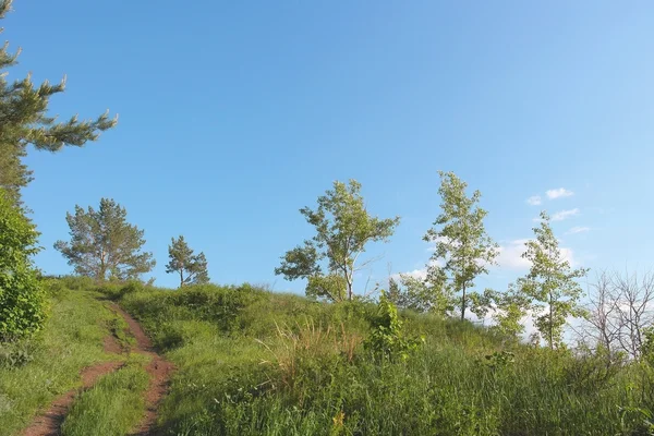 Prachtig zomers landschap — Stockfoto