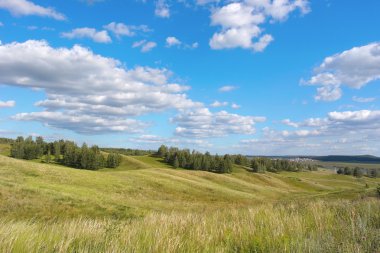 Güzel yaz manzarası