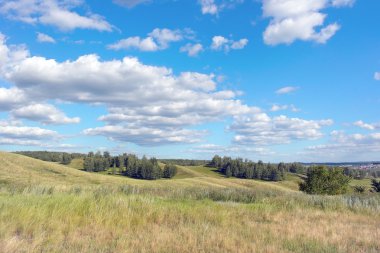 Güzel yaz manzarası