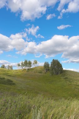 Güzel yaz manzarası