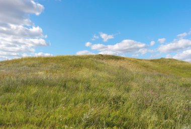 Güzel yaz manzarası