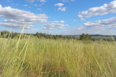 Güzel yaz manzarası