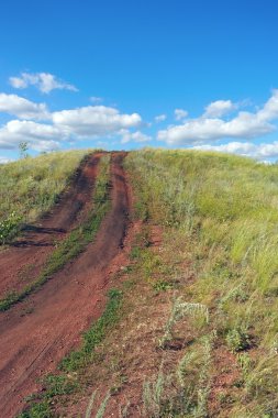 Güzel yaz manzarası