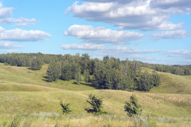 Güzel yaz manzarası