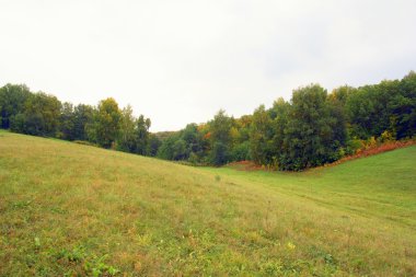 Güzel sonbahar manzarası