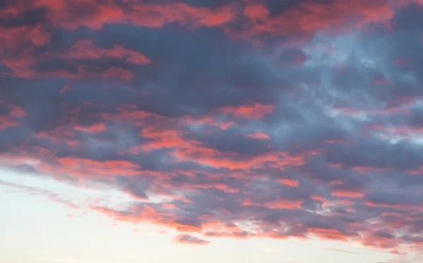 Hermoso cielo nocturno — Foto de Stock