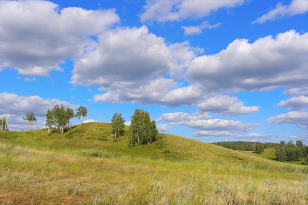 Beautiful summer landscape — Stock Photo, Image