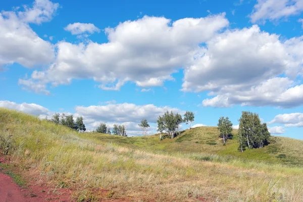 Beau paysage d'été — Photo