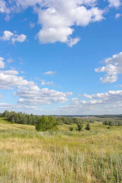 Prachtig zomers landschap — Stockfoto