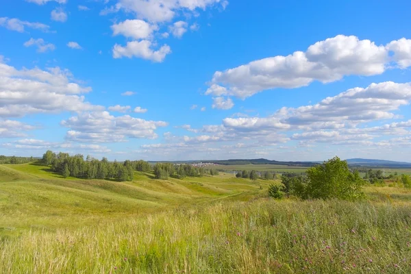 Vakkert sommerlandskap – stockfoto