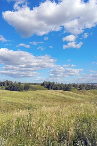 Beautiful summer landscape — Stock Photo, Image