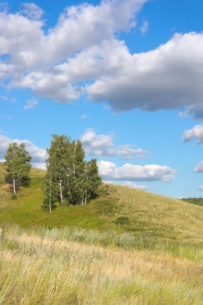 Beautiful summer landscape — Stock Photo, Image