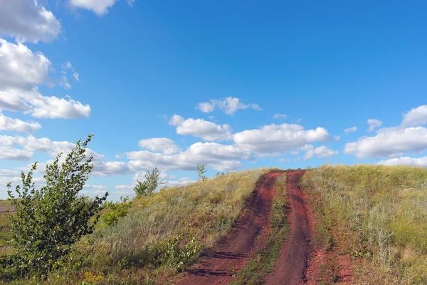 Prachtig zomers landschap — Stockfoto