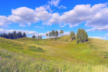 Güzel yaz manzarası