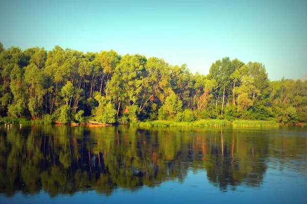 Beau paysage d'été — Photo