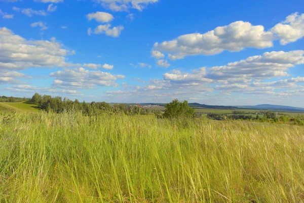 Linda paisagem de verão — Fotografia de Stock