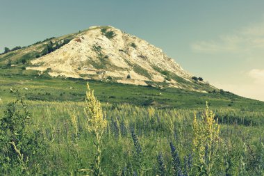 Güzel yaz manzarası