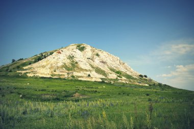 Güzel yaz manzarası