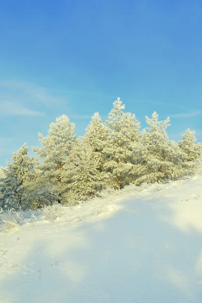 Schöne Winterlandschaft — Stockfoto