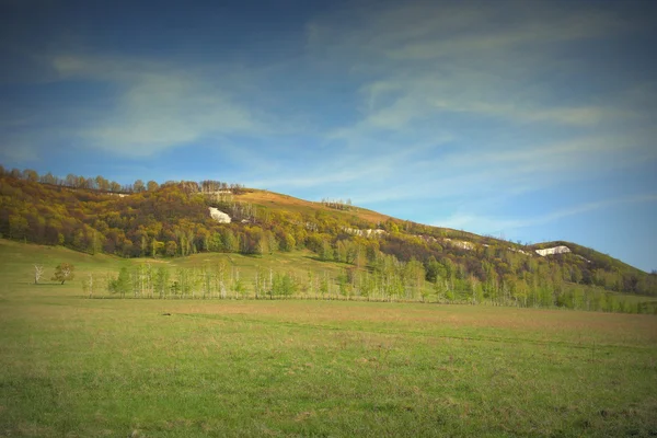 Våren landskap — Stockfoto