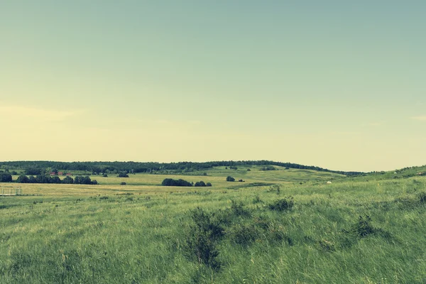 Linda paisagem de verão — Fotografia de Stock