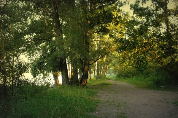 Linda paisagem de verão — Fotografia de Stock