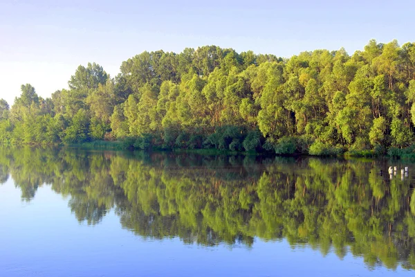 Schöne Sommerlandschaft — Stockfoto