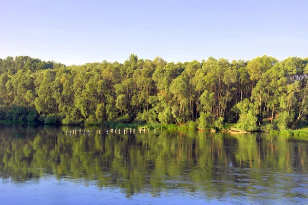 Beau paysage d'été — Photo