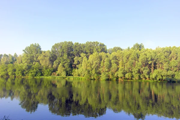 Piękny letni krajobraz — Zdjęcie stockowe