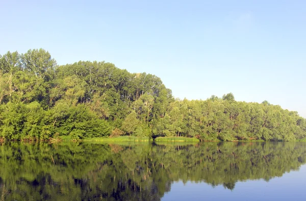 Schöne Sommerlandschaft — Stockfoto