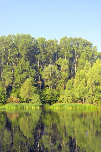 Hermoso paisaje de verano —  Fotos de Stock