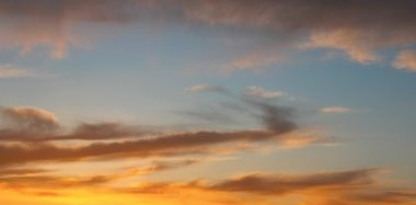 Yeşil yaprakları, sığ Dof