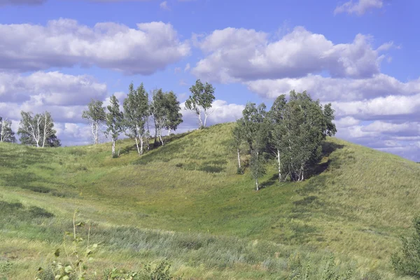 Beautiful summer landscape — Stock Photo, Image