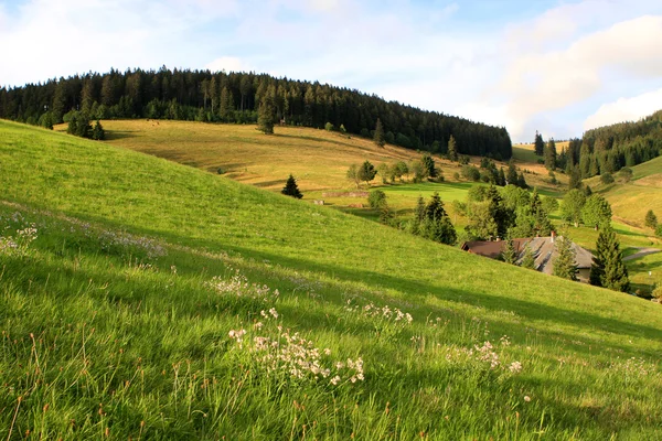 Zwarte Woud, Duitsland — Stockfoto