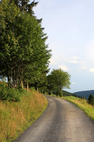 Foresta Nera, Germania — Foto Stock