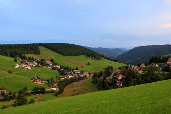 Foresta Nera, Germania — Foto Stock