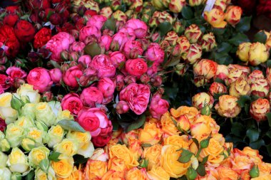 Çiçek pazarı, Freiburg