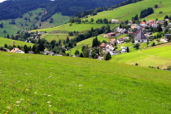 Zwarte Woud, Duitsland — Stockfoto