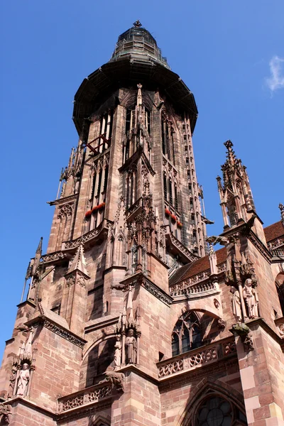 Freiburg Münster, Almanya — Stok fotoğraf