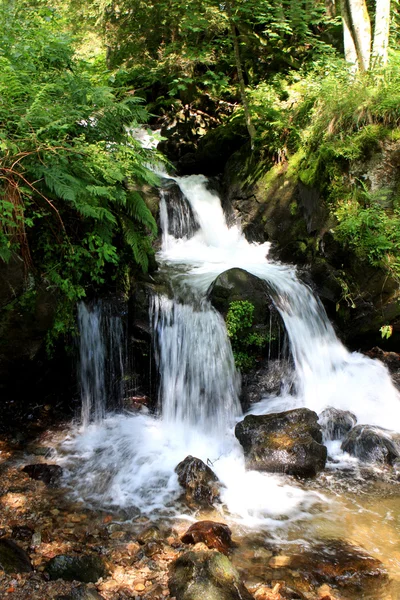 Todtnau водоспади, чорний ліс, Німеччина — стокове фото