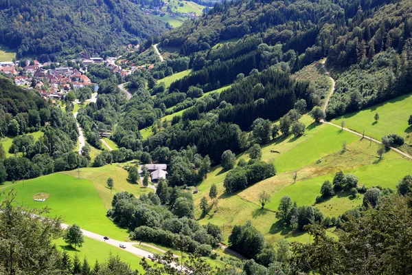 Kara Orman, Almanya — Stok fotoğraf