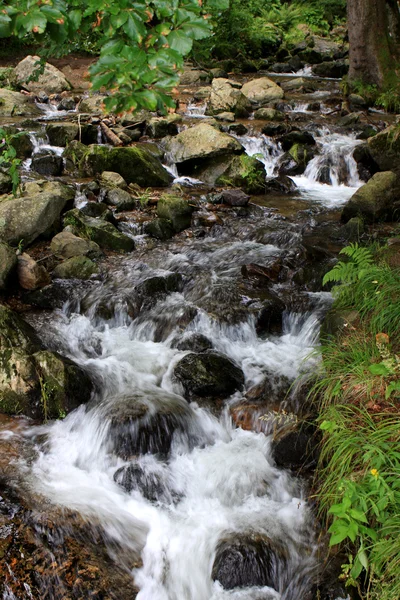 Todtnau водоспади, чорний ліс, Німеччина — стокове фото