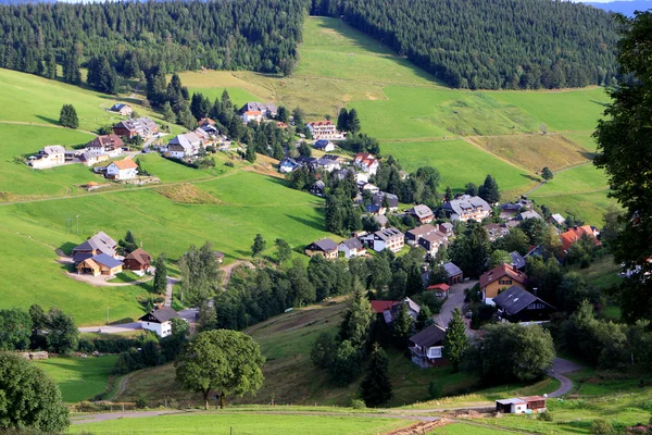 Zwarte Woud, Duitsland — Stockfoto