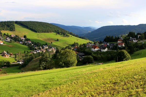 Black forest, Germany — Stock Photo, Image