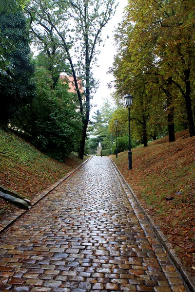 Parco di Vysehrad, Praga — Foto Stock
