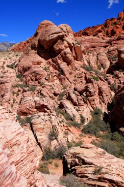 Red Rock Canyon, ABD