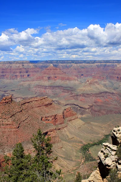 Gran Cañón, Estados Unidos —  Fotos de Stock