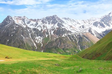 Dağ vadisinde yaz günü. Kafkaslar